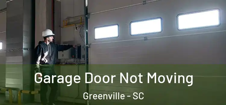  Garage Door Not Moving Greenville - SC